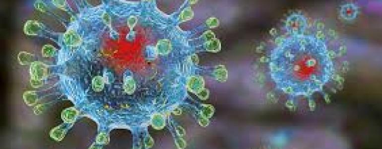 Вакцинации против гриппа в 2020 году в Малоритском районе