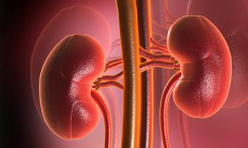 Важность почек для организма